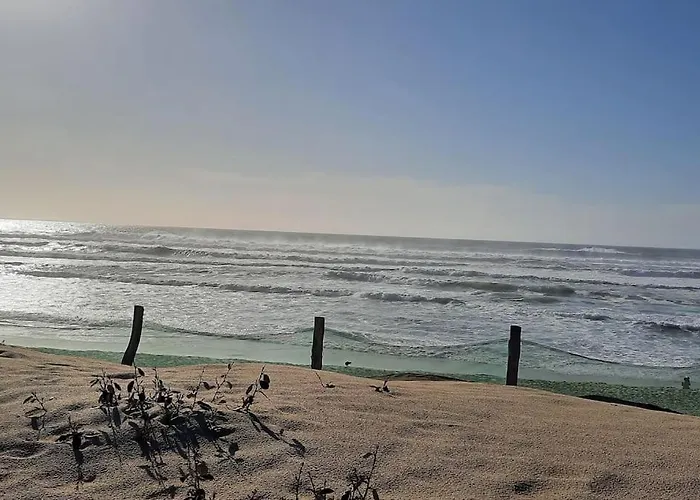 Les Amandiers Biscarrosse