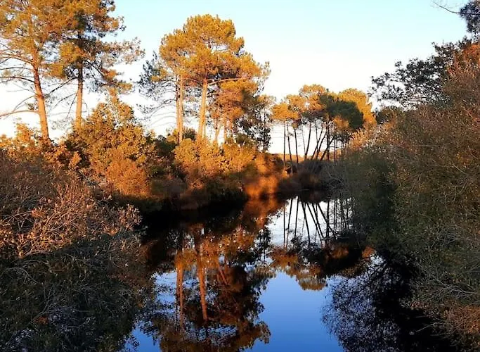 Les Amandiers Biscarrosse